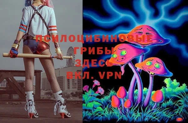 дживик Богданович