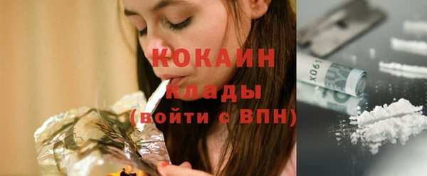 кокс Богородицк