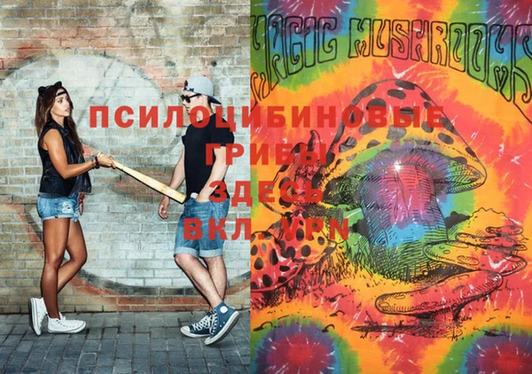 кокс Богородицк