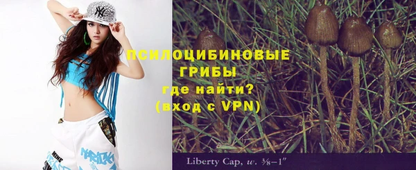дживик Богданович