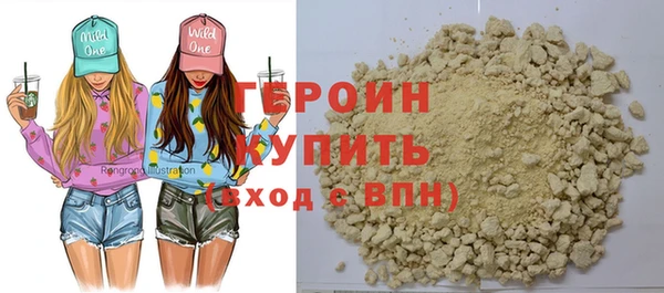 мдпв Ельня