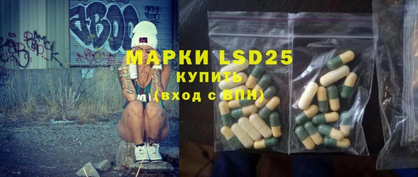 ПСИЛОЦИБИНОВЫЕ ГРИБЫ Гусев