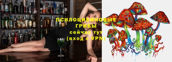 кокс Богородицк