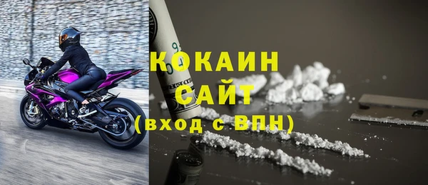 кокс Богородицк