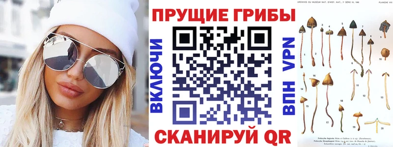 Галлюциногенные грибы Magic Shrooms  Вязники 