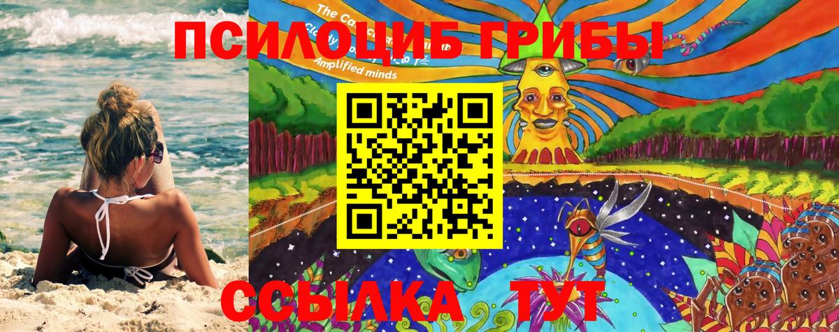 Вязники  Псилоцибиновые грибы MAGIC MUSHROOMS  Вход с VPN 