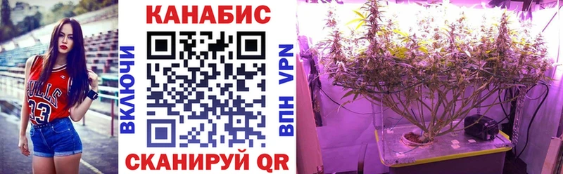 дарнет шоп  Вязники  Канабис планчик 